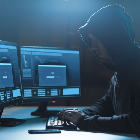 webinar-cybercrime